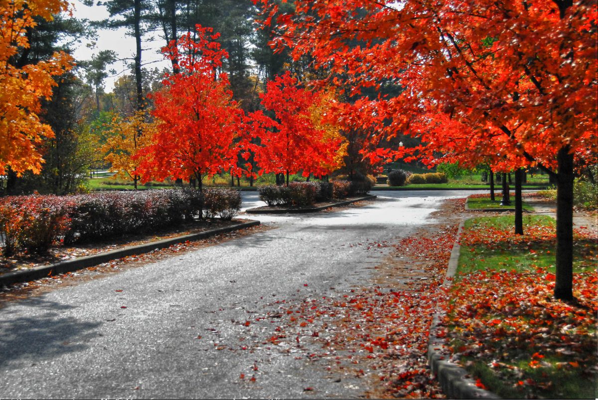 Gallery Armida Rose Realty Group