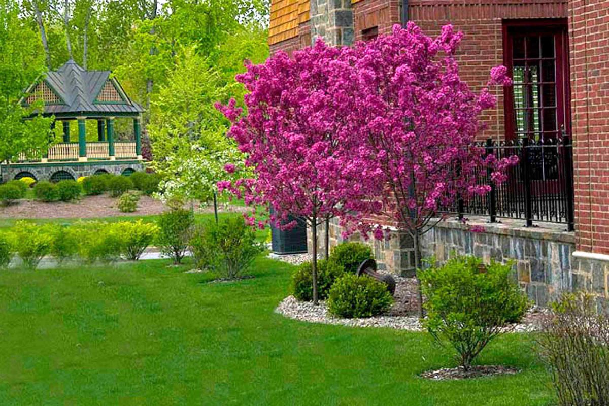 Gallery Armida Rose Realty Group